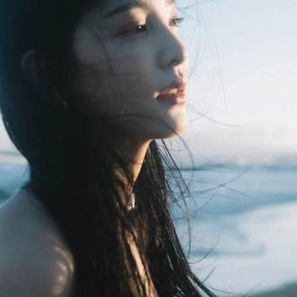 乱世伤痕:末代总督的秘密