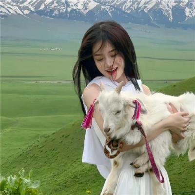你的情歌